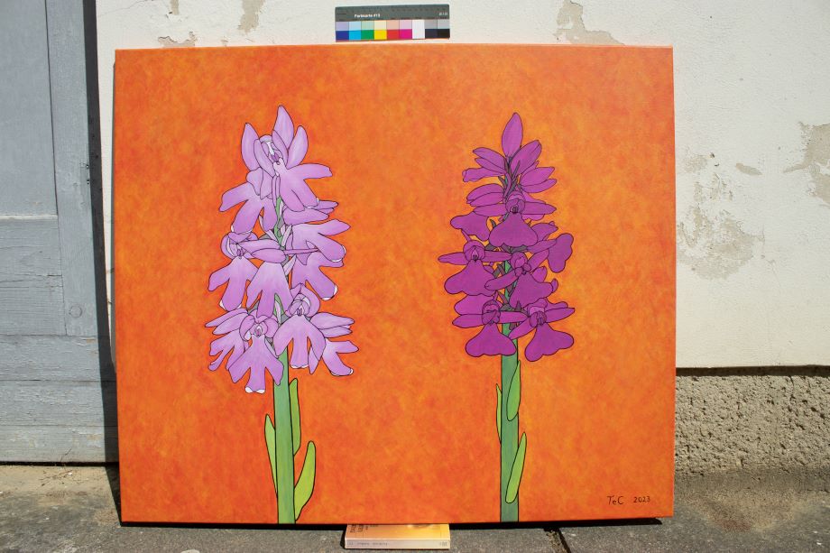 Rahmenbild 2 - Naturschutz-Kunstprojekt - Orchideen - Hybride (85 x 100 cm)