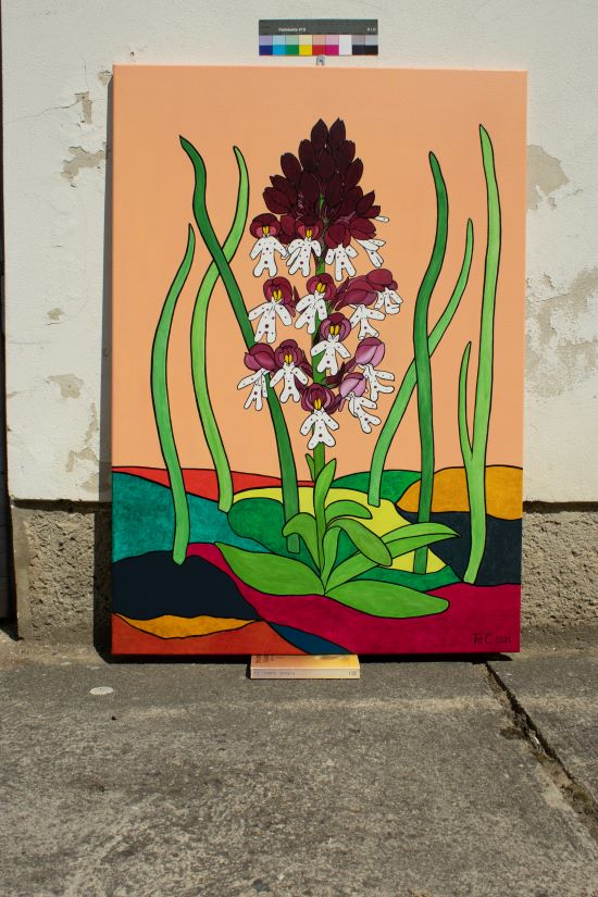Schutzbild - Orchidee - Neotinea ustulata - Brand Knabenkraut (100 x 70 cm)