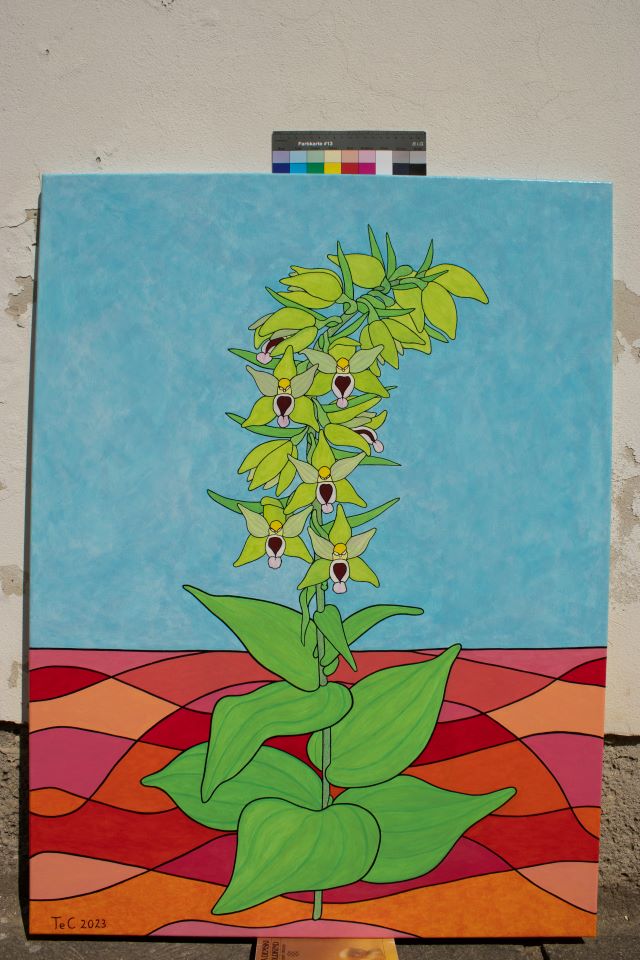 Schutzbild - Epipactis helleborine - Breitblättrige Stendelwurz (100 x 75 cm) - Christina Felicitas Teibert