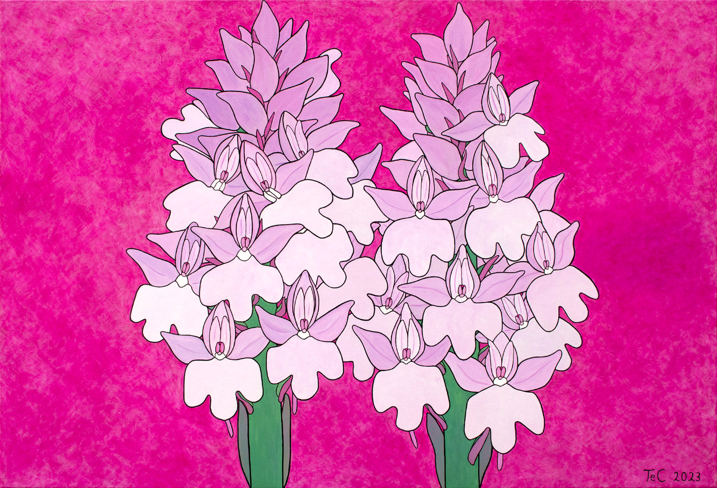 Anacamptis pyramidalis - Pyramiden-Hundswurz (75 x 110 cm) - Christina Felicitas Teibert - 2023