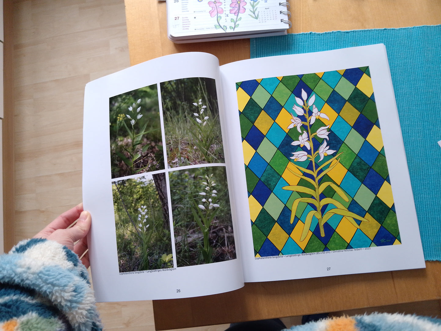 Ausstellungskatalog "Die Orchideen des Nationalparks Donau-Auen" Ein Naturschutz-Kunstprojekt von Christina Felicitas Teibert