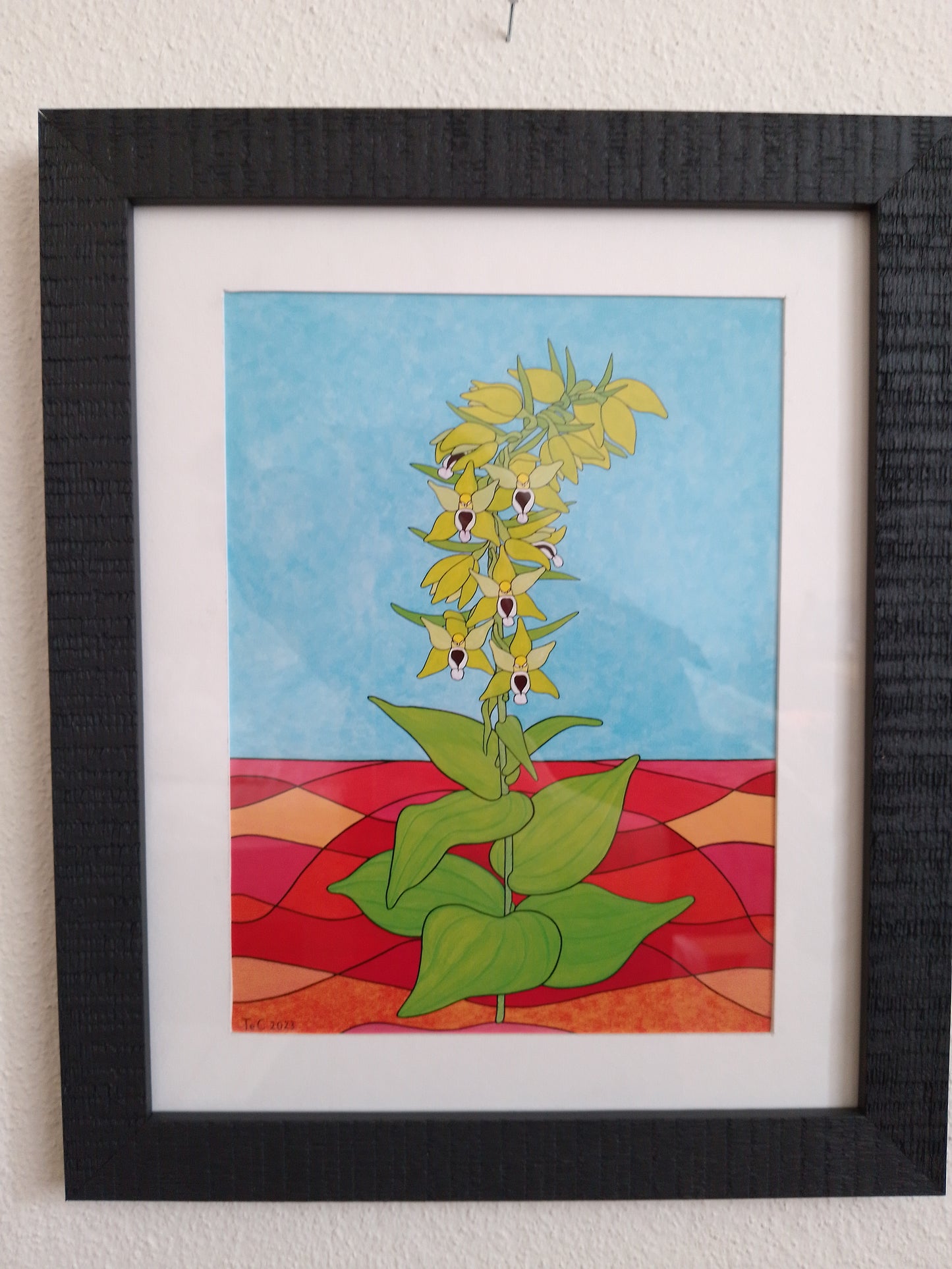 Epipactis helleborine - Breitblättrige Stendelwurz - Edition Preprint Ausstellungskatalog
