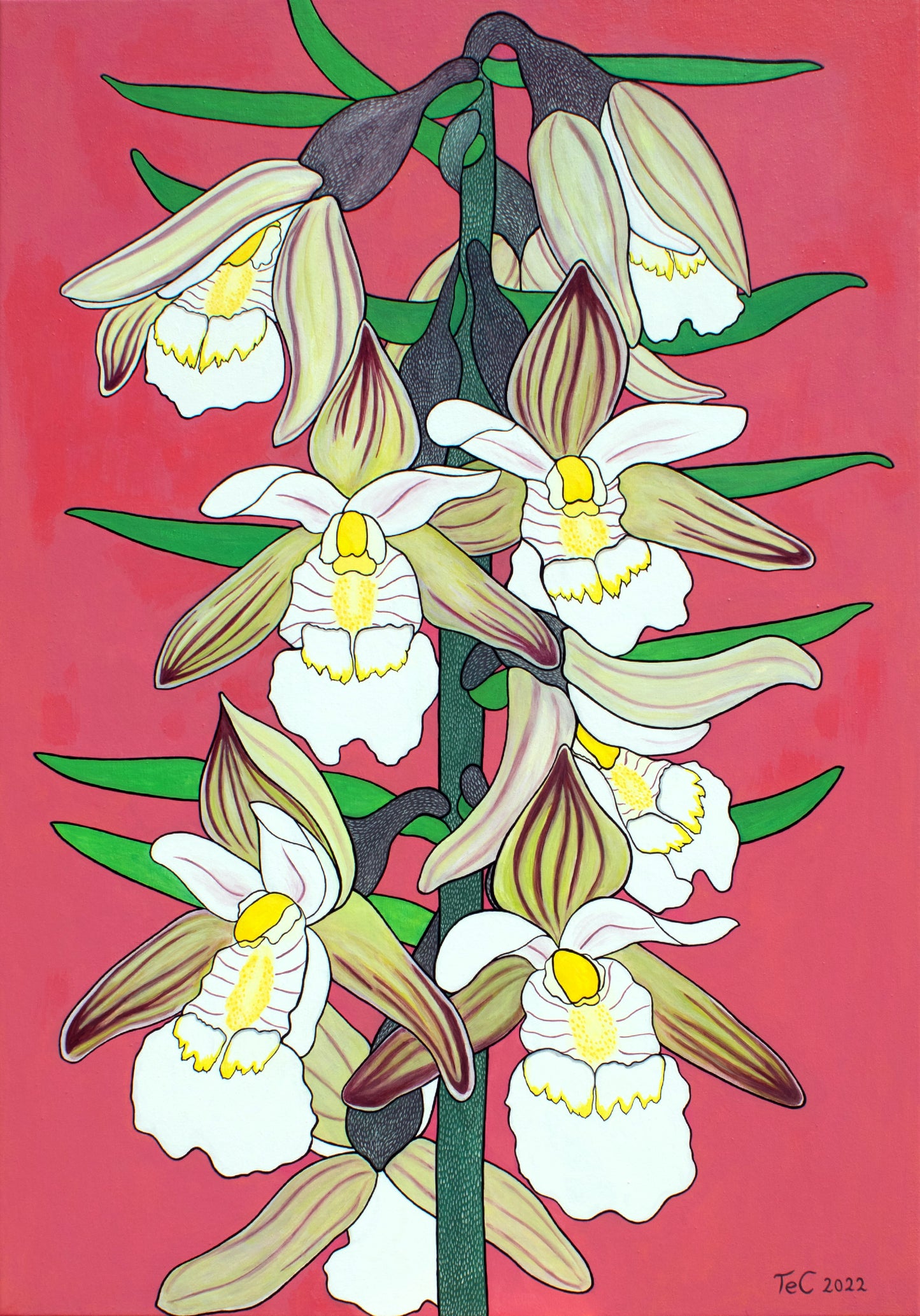 Epipactis palustris - Sumpf-Stendelwurz (100 x 70 cm) - Christina Felicitas Teibert - 2022