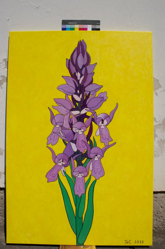 Schutzbild - Fleischfarbenes Knabenkraut - Dactylorhiza incarnata (75 x 110 cm)