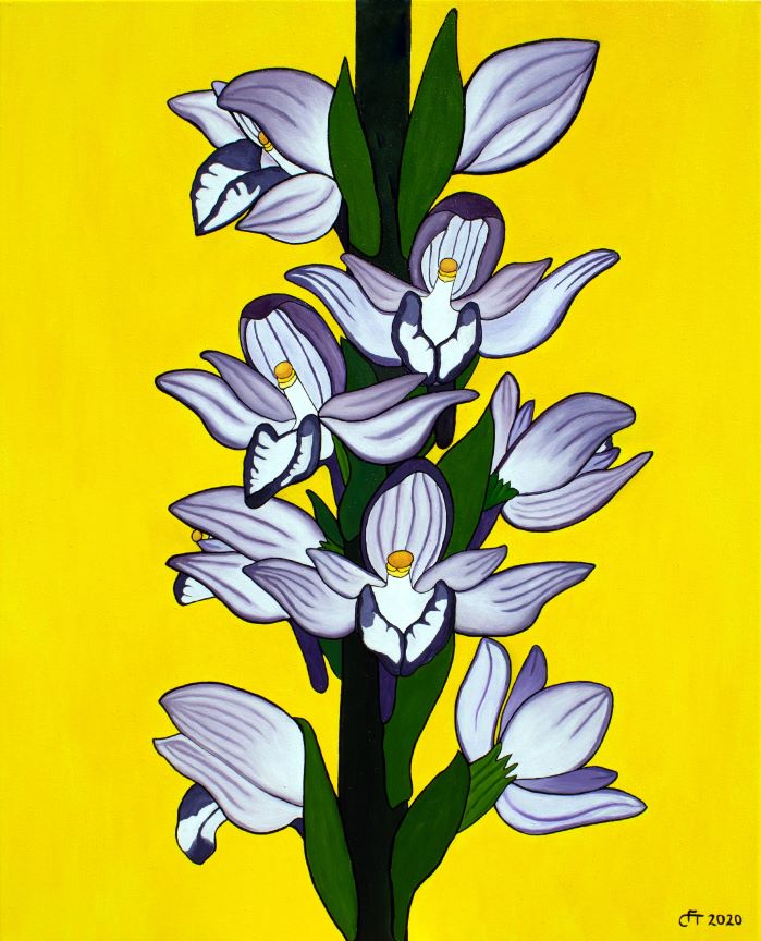 Orchideen Gemälde - Österreich - Limodorum abortivum - Violetter Dingel (80 x 65 cm)