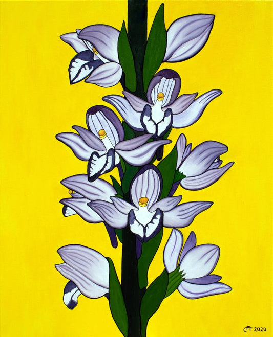 Orchideen Gemälde - Österreich - Limodorum abortivum - Violetter Dingel (80 x 65 cm)