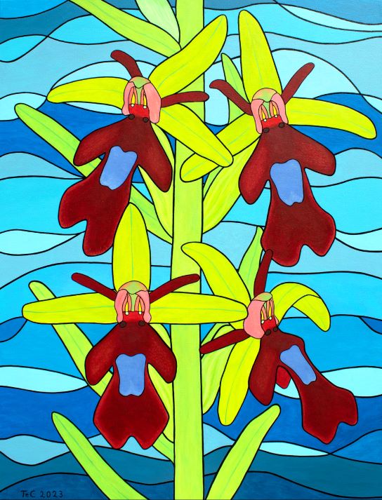 Kunst aus Wien "Ophrys insectifera - Fliegen-Ragwurz" (85 x 65 cm)