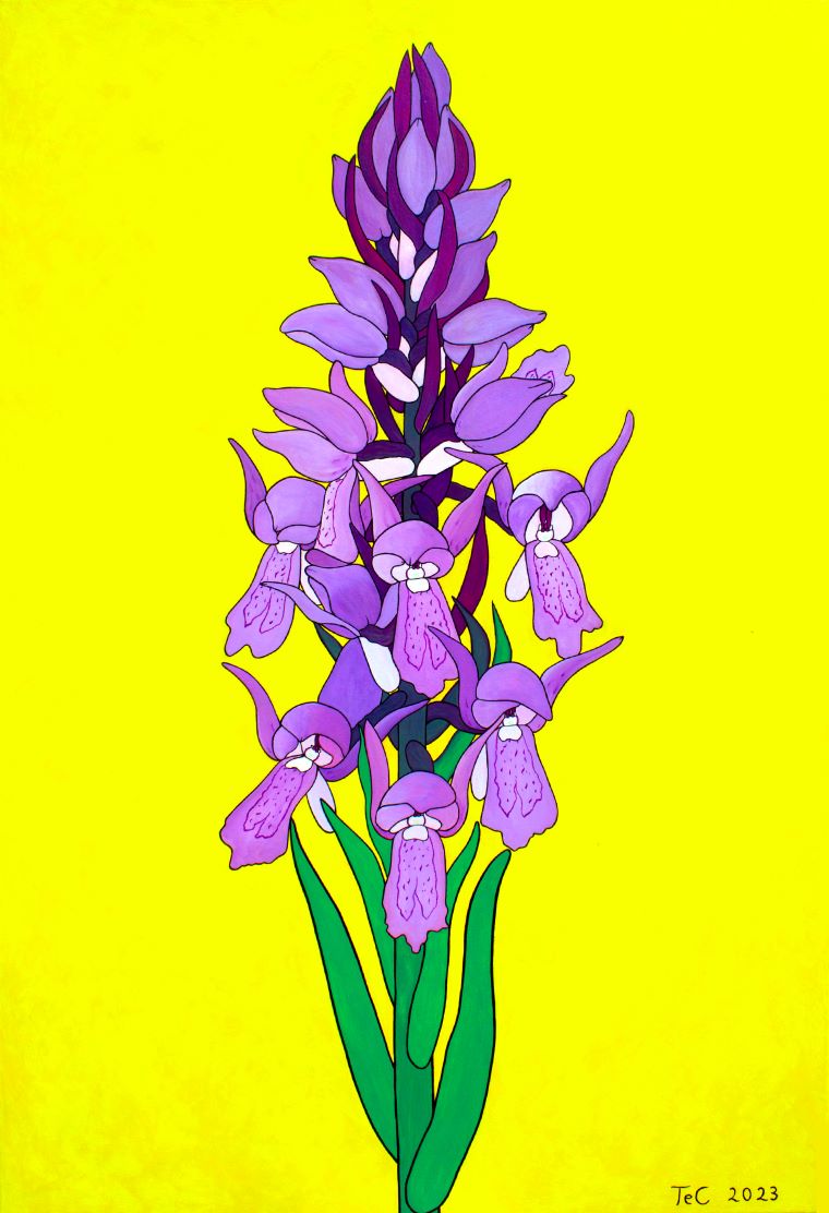 Schutzbild - Fleischfarbenes Knabenkraut - Dactylorhiza incarnata (75 x 110 cm)