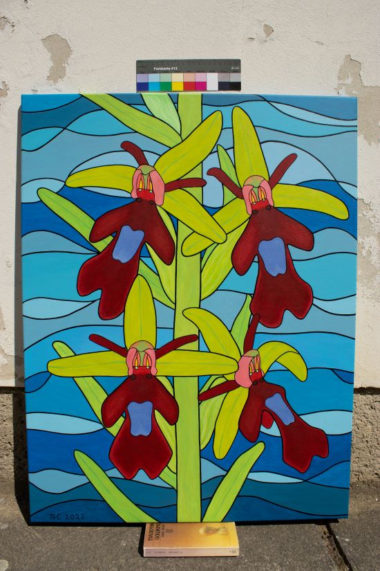 Kunst aus Wien "Ophrys insectifera - Fliegen-Ragwurz" (85 x 65 cm)