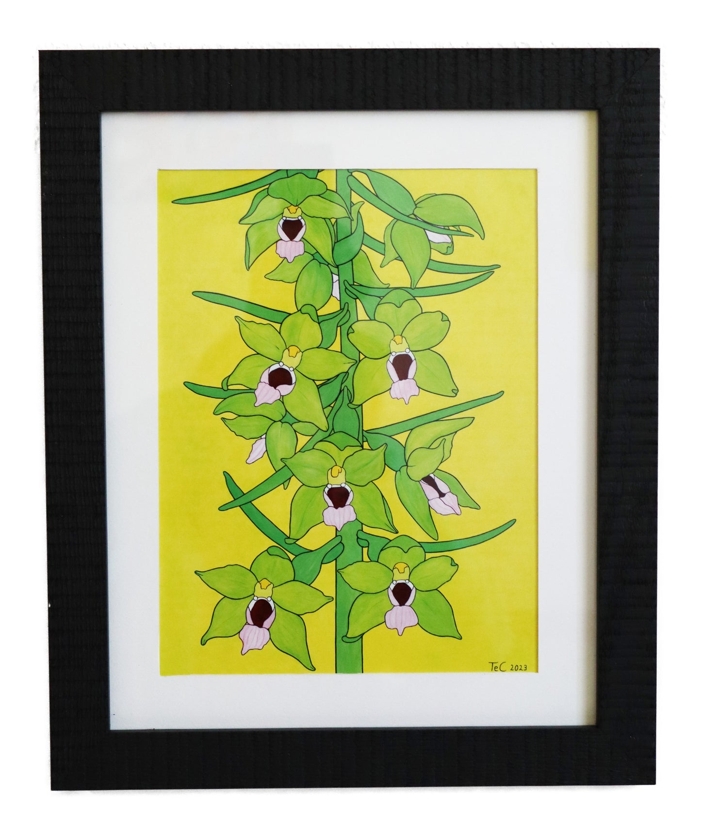 Geschenke - Kunst - Wien - Orchideen - Christina Teibert