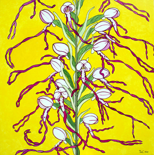 Himantoglossum adriaticum - Adriatische Riemenzunge (85 x 85 cm) - Christina Felicitas Teibert - 2021