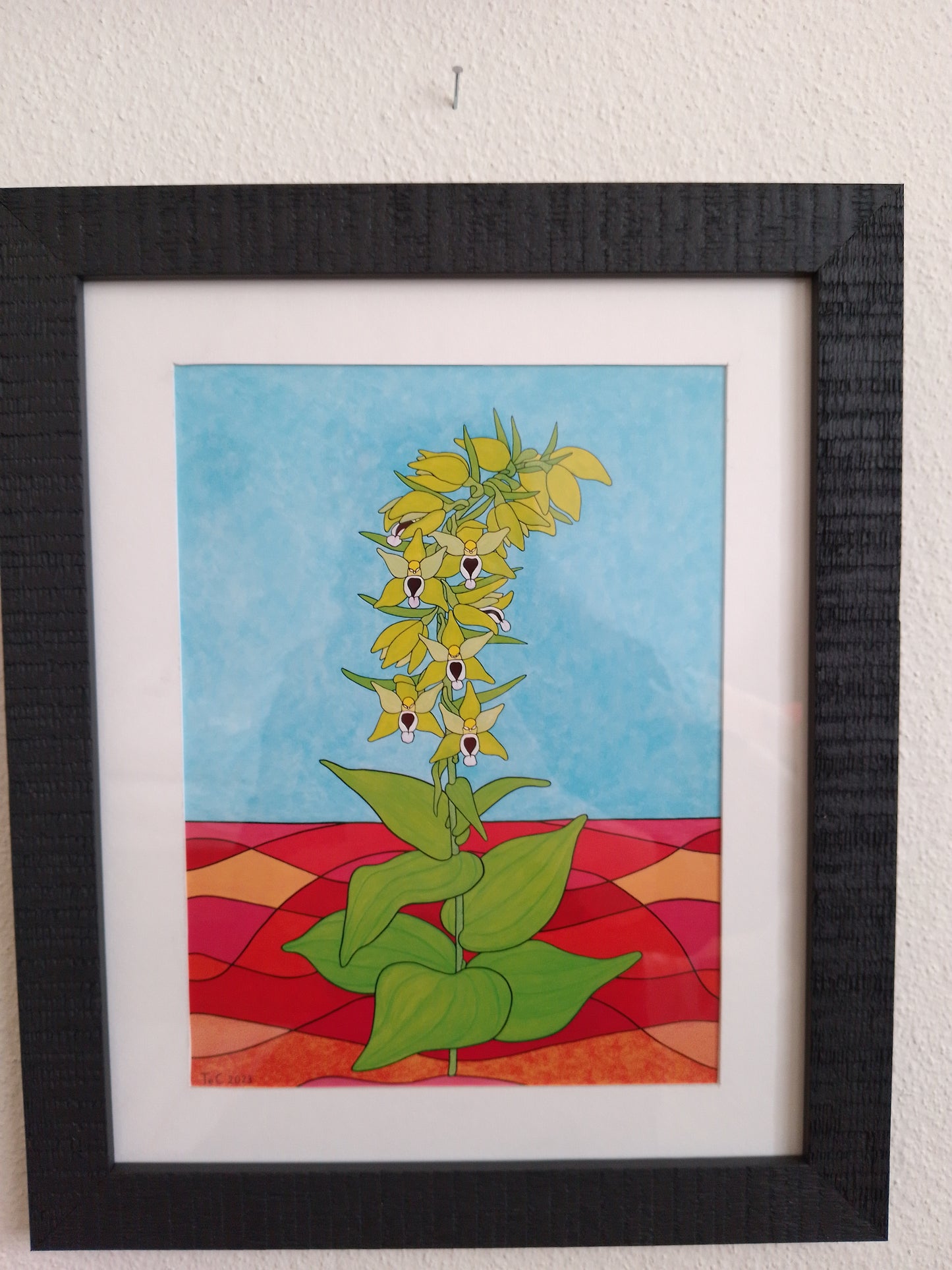 Epipactis helleborine - Breitblättrige Stendelwurz - Edition Preprint Ausstellungskatalog