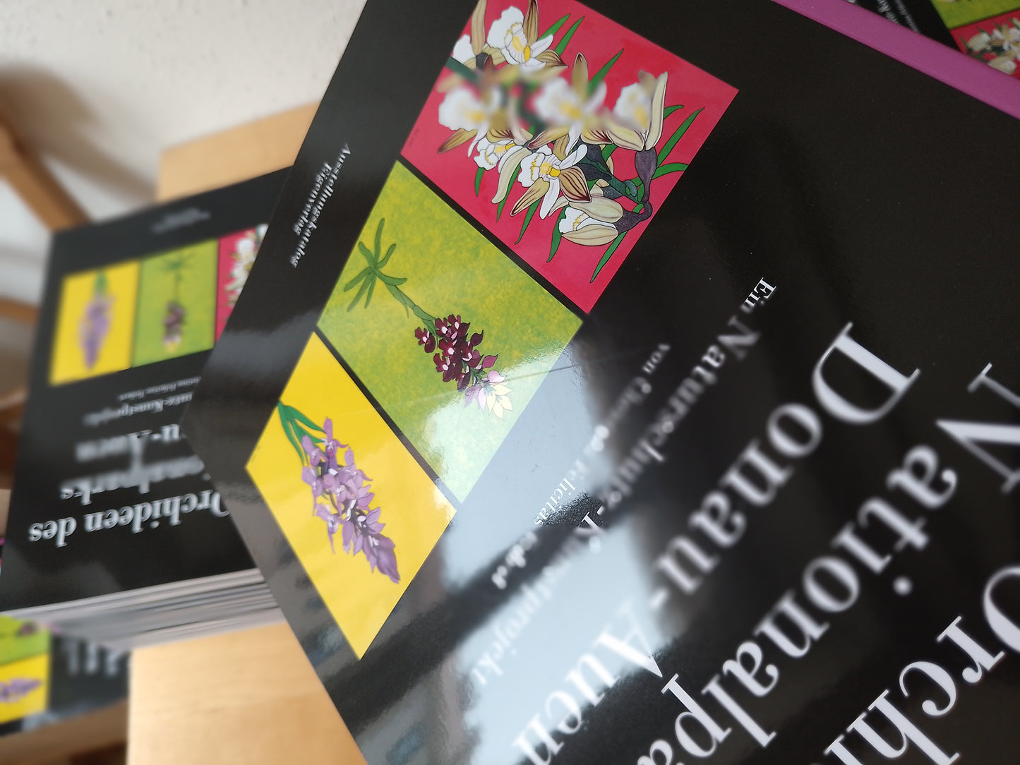 Ausstellungskatalog "Die Orchideen des Nationalparks Donau-Auen" Ein Naturschutz-Kunstprojekt von Christina Felicitas Teibert - beschädigtes Mängelexemplar aus Druckerei