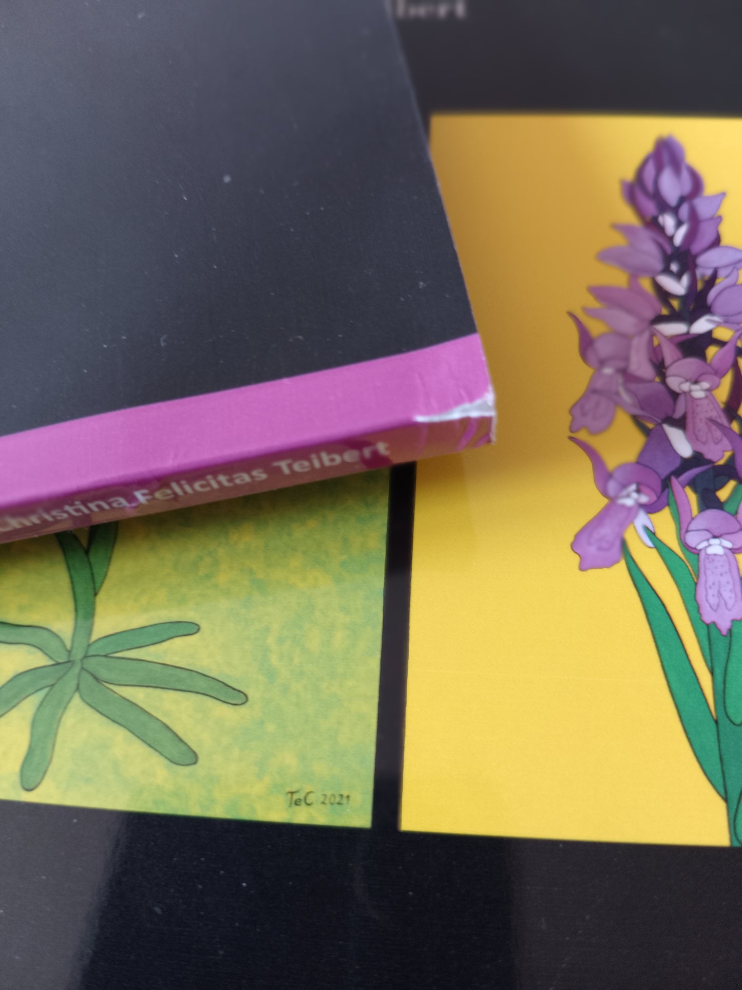 Ausstellungskatalog "Die Orchideen des Nationalparks Donau-Auen" Ein Naturschutz-Kunstprojekt von Christina Felicitas Teibert - beschädigtes Mängelexemplar aus Druckerei