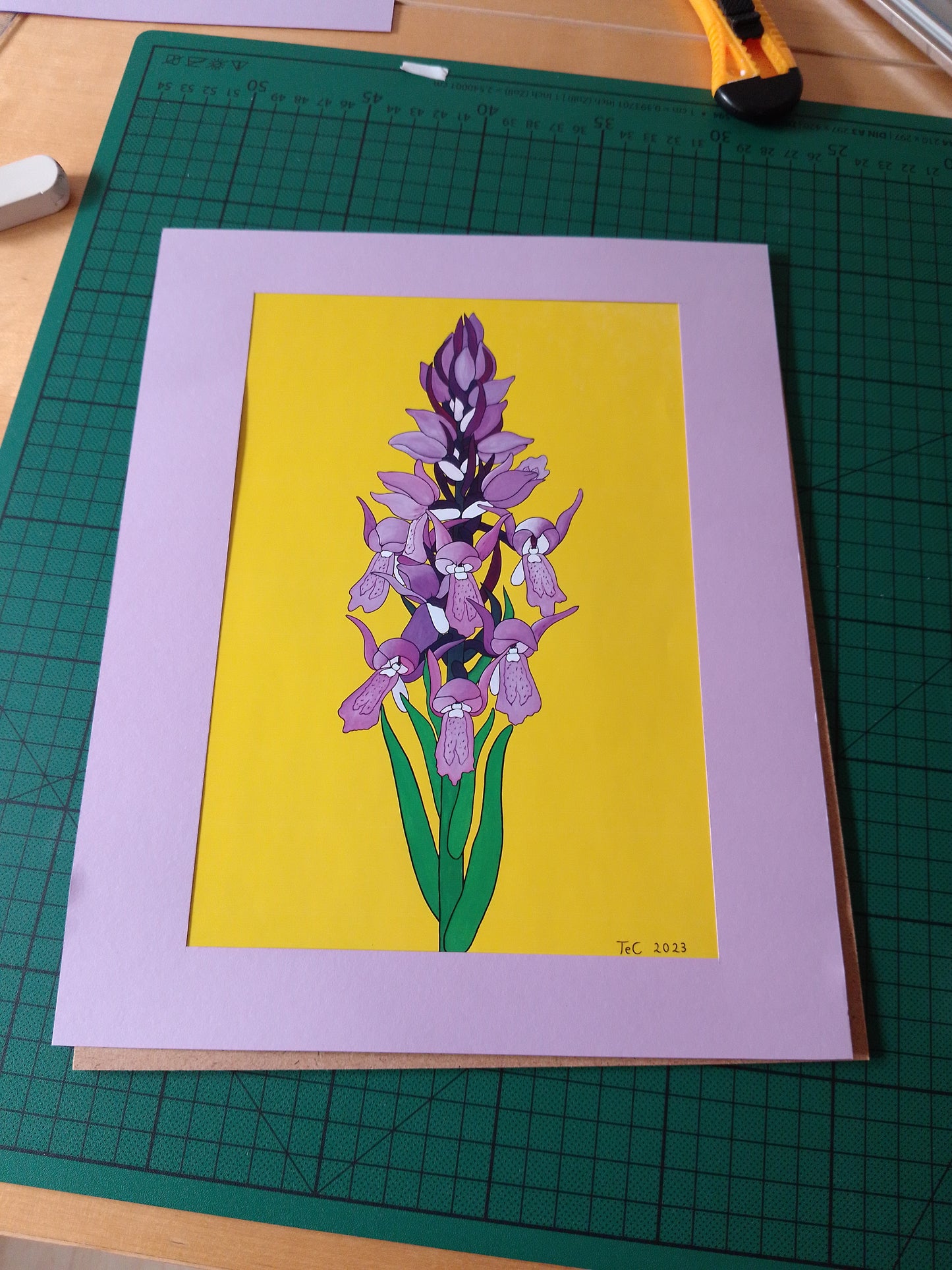 Dactylorhiza incarnata - Fleischfarbenes Knabenkraut Edition Preprint Ausstellungskatalog