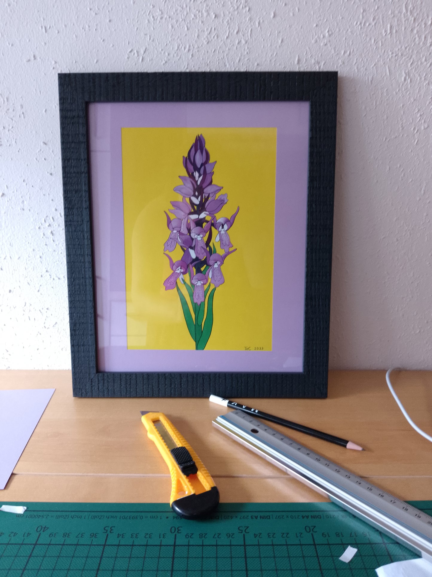 Dactylorhiza incarnata - Fleischfarbenes Knabenkraut Edition Preprint Ausstellungskatalog