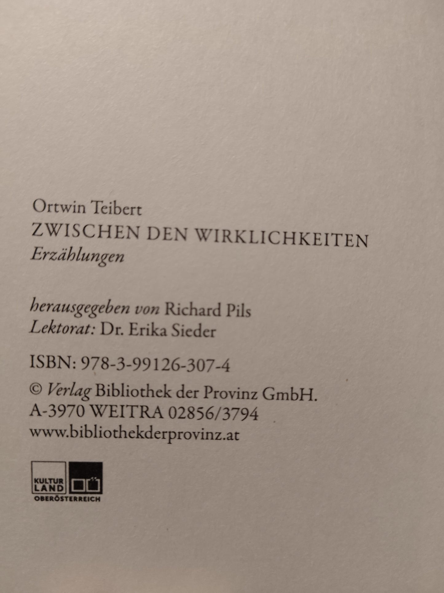 Zwischen den Wirklichkeiten - Ortwin Teibert - Erzählungen