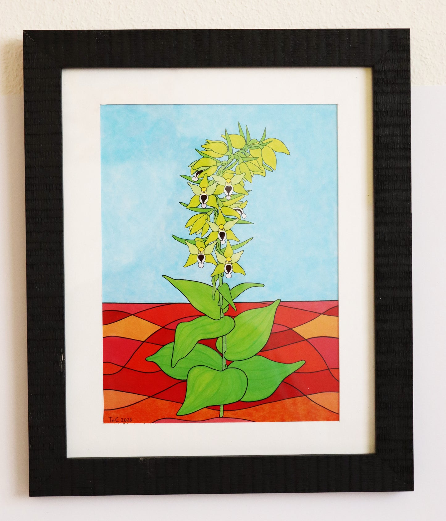 Epipactis helleborine - Breitblättrige Stendelwurz - Edition Preprint Ausstellungskatalog