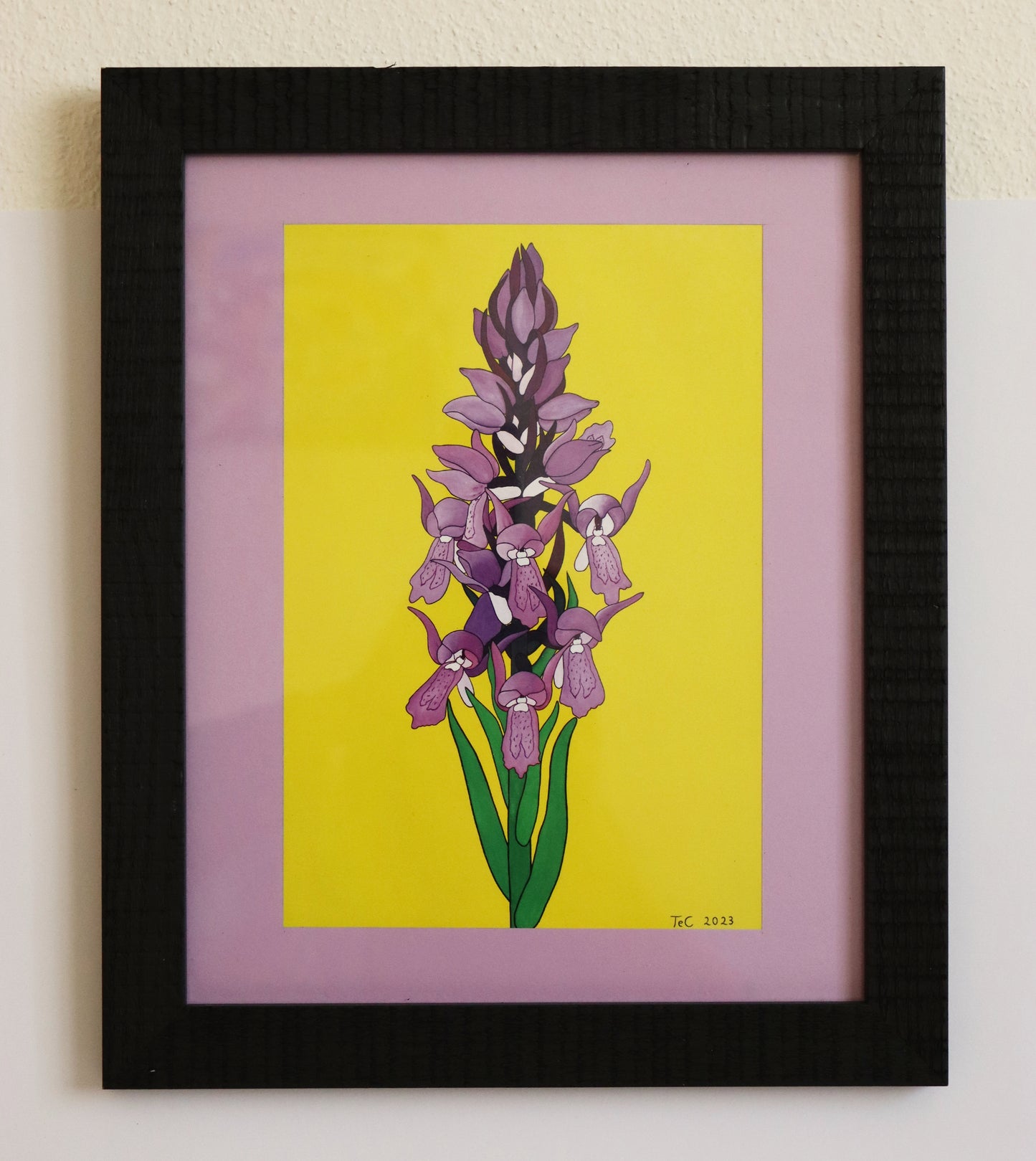 Dactylorhiza incarnata - Fleischfarbenes Knabenkraut Edition Preprint Ausstellungskatalog