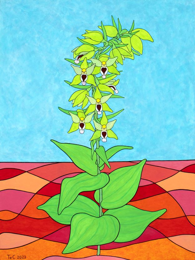 Originalwerk - Orchideen Österreichische Kunst - Christina Teibert