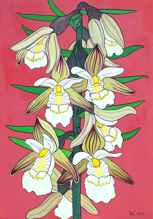 Epipactis palustris - Sumpf-Stendelwurz (100 x 70 cm) - Christina Felicitas Teibert - 2022